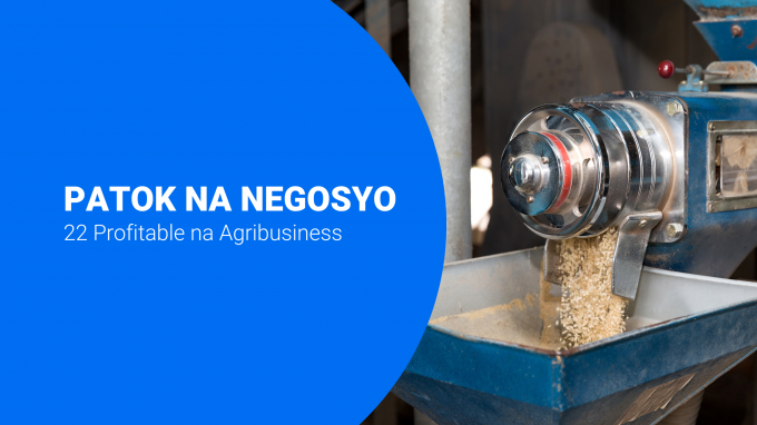 Here are 22 of the most profitable agricultural business ideas in the Philippines. Get financing from First Standard.